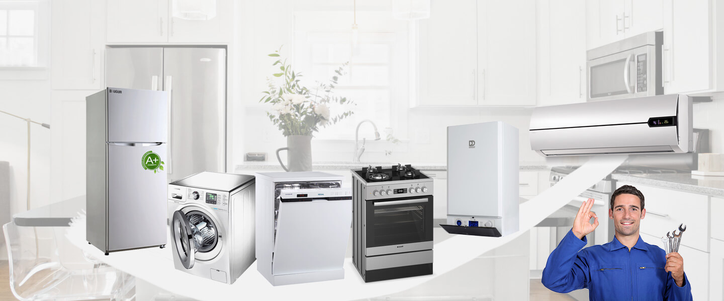 Menemen Electrolux Servisi